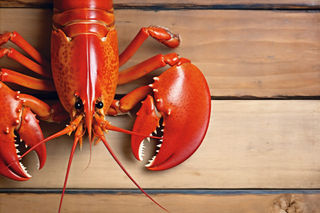 Live Maine Lobster Delivery Boston MA: Convenient, Fresh, and Exciting!