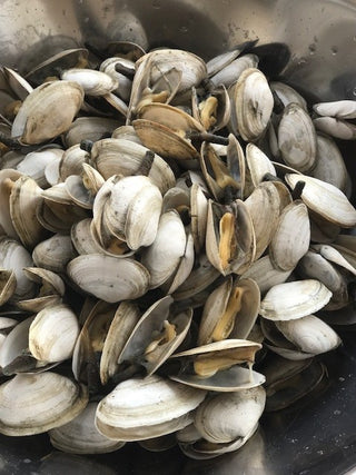 Fresh clams delivered to your door