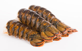 Experience the Flavor of Maine – Shop Lobster Tails