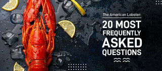 The American Lobster: 20 Most Frequently Asked Questions