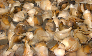 Conch Meat - No Shell<BR>(3 pounds per order)<BR>- Previously Cooked & Frozen