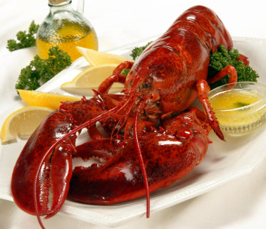 Maine Cooked Lobsters Shipped Freshly Steamed the Day of Shipment