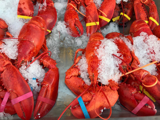 Pre-Steamed Cooked Lobsters (Qty 5) - FREE Overnight Shipping Included