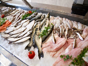 Fresh Fish Gift Package <BR>(FREE overnight shipping included)