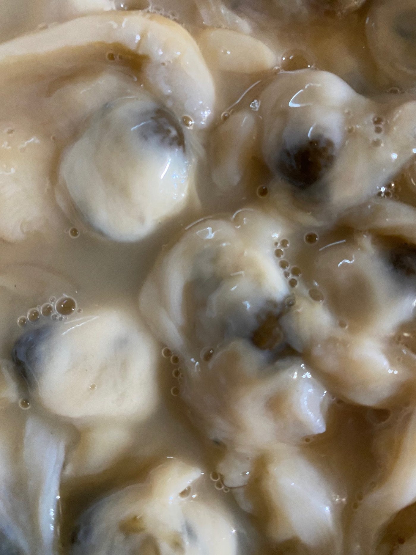 Raw Frying Clam Belly's (1 gallon - FRESH / NOT FROZEN) – The Fresh ...