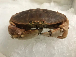 Jonah Crabs <BR>( Qty 1 per )