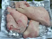 Fresh Monkfish Liver (1 pound per)