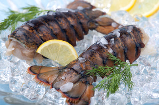 Large Maine Lobster Tails Shell-on ( 14-16 oz per Lobster Tail ) - Qty 1 Tail per order<BR>Uncooked / Shell-on