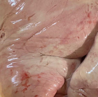 Fresh Monkfish Liver (1 pound per)