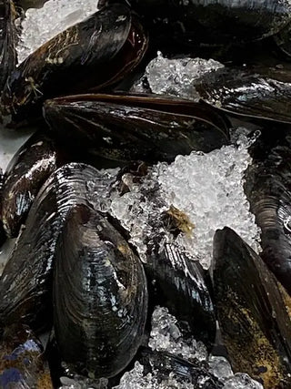 Fresh Mussels <BR>( Qty 30-40 aprox<BR>per 2 pound bag )