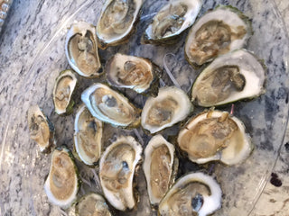 Wellfleet Oysters shipped <BR>( 2 pound bundle - Whole Unopened Oysters ) <BR>Aprox Qty 20-25 per order