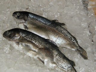 Rainbow Trout (Qty 1-2 fish per pound)