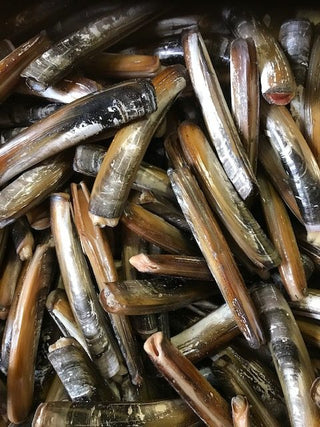 Razor Clams (5 pounds per - Fresh)