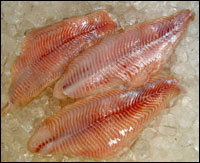 Freshwater Catfish Fillets <BR>( per pound )