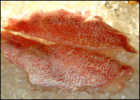 Fresh Wild Red Snapper Fillets <BR>( per pound )