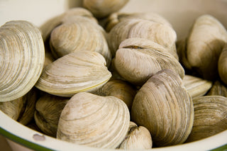 Fresh Littleneck Clams <BR>(Qty 8 - 9 per pound)