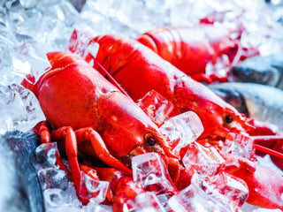 Maine Cooked Lobsters Shipped Freshly Steamed the Day of Shipment